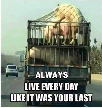 Live Every Day As You Would Your Last.png