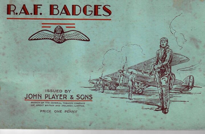 JP RAF Badges.jpg