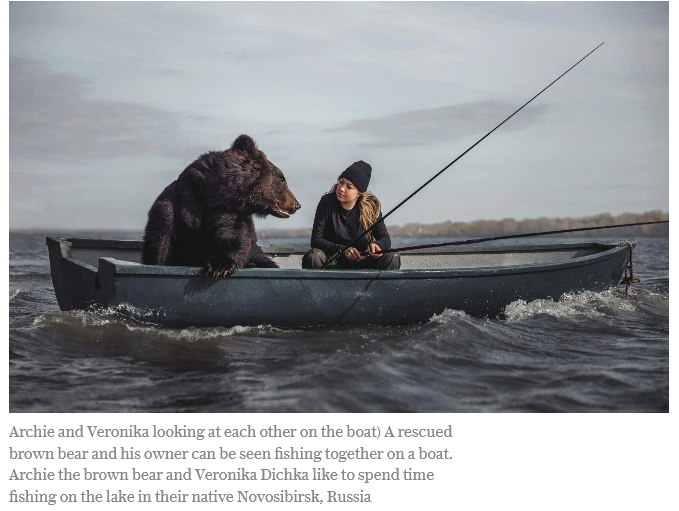 Archie the brown bear & Veronika going fishing in Russia.png