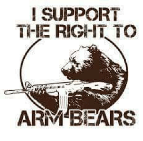 support-i-the-right-to-arm-bears-4202481.png