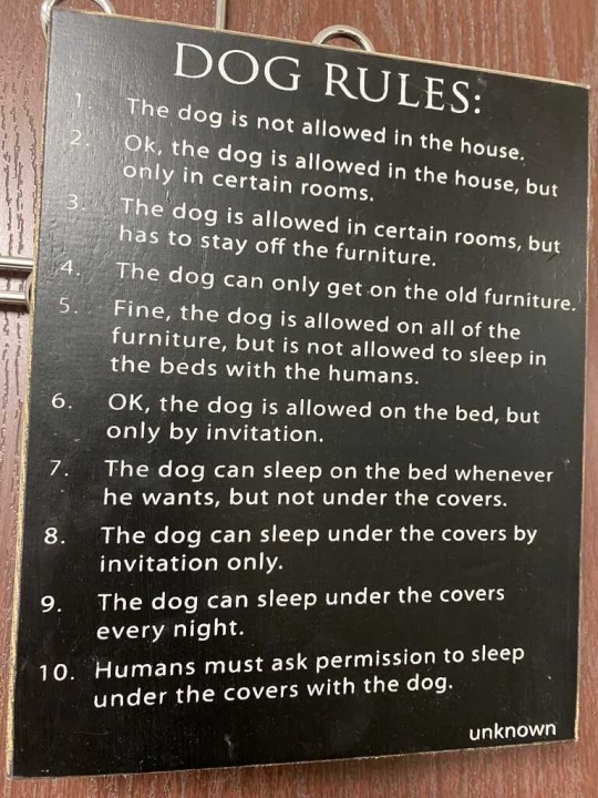 Dog Rules.jpeg