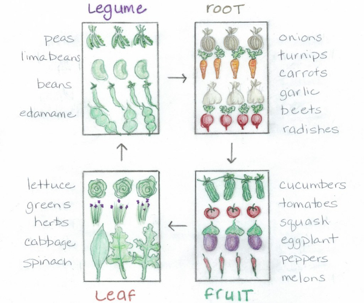 crop-rotation-diagram.jpg