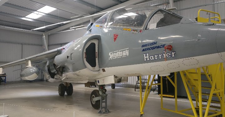 Harrier 01.jpg