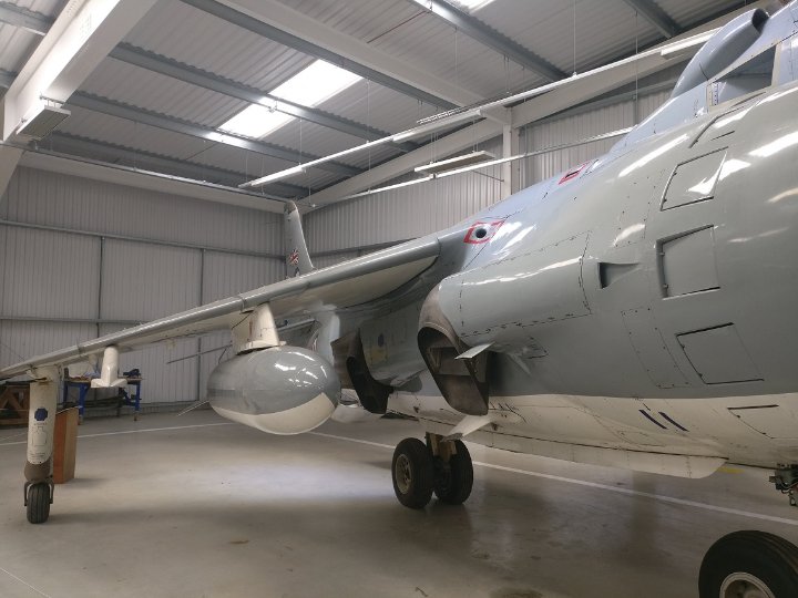 Harrier 02.jpg