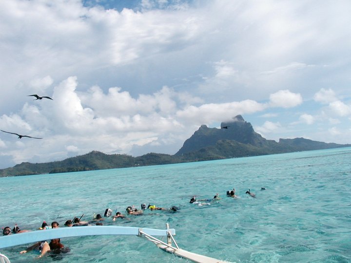 Swim with sharks at Bora Bora.jpg